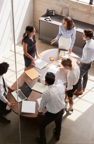 DLS Dubai, professional consulting.